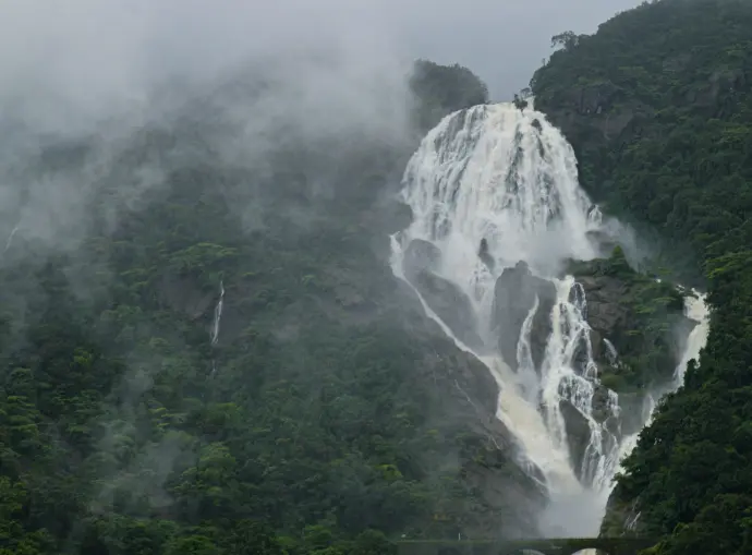 A large waterfall in the middle of a forest